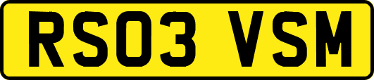 RS03VSM