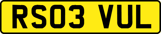 RS03VUL