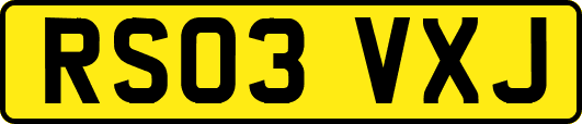 RS03VXJ