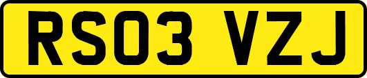RS03VZJ