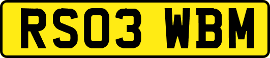 RS03WBM