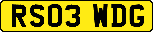 RS03WDG