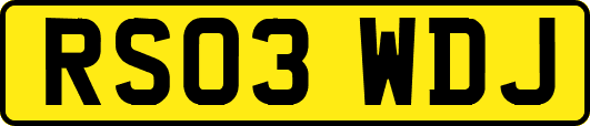 RS03WDJ