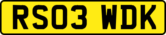 RS03WDK