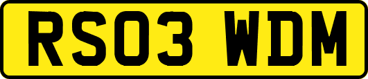 RS03WDM