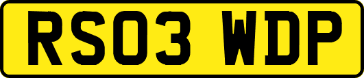 RS03WDP