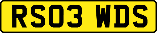 RS03WDS