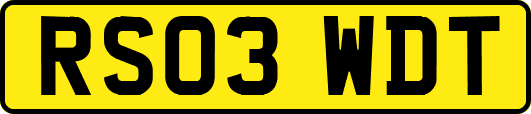 RS03WDT