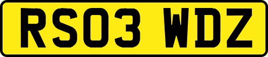RS03WDZ