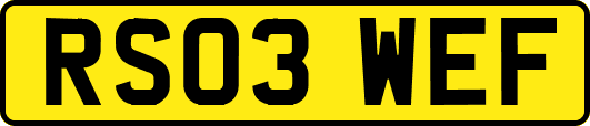 RS03WEF
