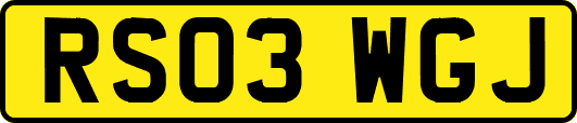 RS03WGJ