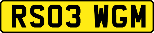 RS03WGM