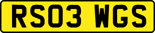 RS03WGS
