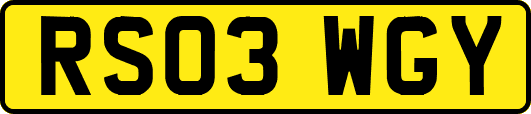 RS03WGY