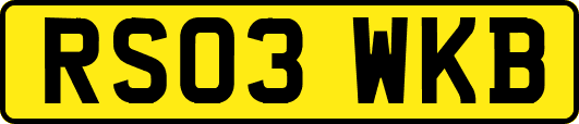RS03WKB