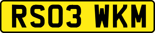 RS03WKM
