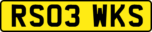 RS03WKS