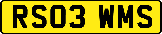 RS03WMS