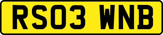 RS03WNB