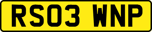 RS03WNP