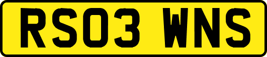 RS03WNS