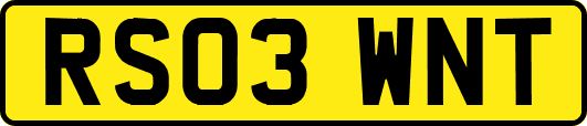 RS03WNT