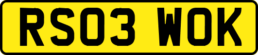 RS03WOK