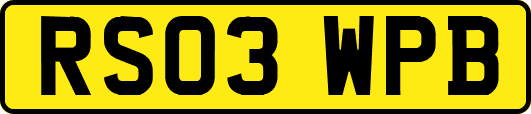 RS03WPB