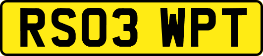 RS03WPT