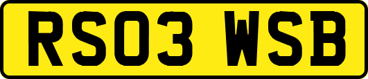 RS03WSB