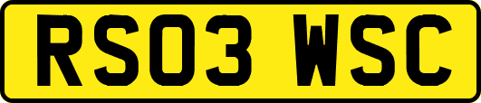 RS03WSC