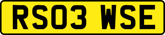 RS03WSE