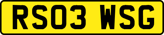 RS03WSG