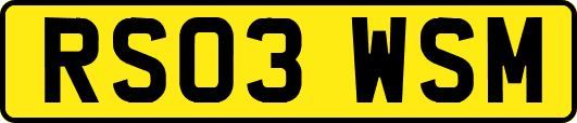 RS03WSM