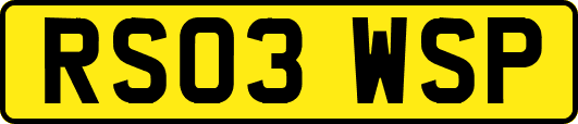 RS03WSP