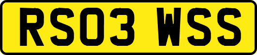 RS03WSS