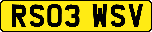 RS03WSV
