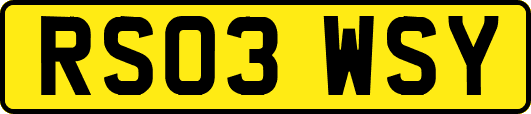 RS03WSY