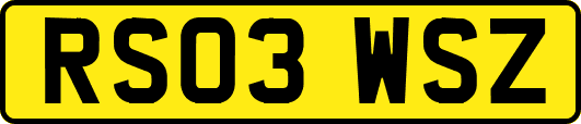 RS03WSZ