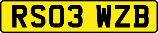 RS03WZB