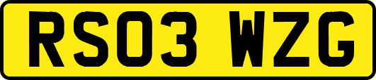 RS03WZG