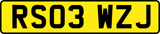 RS03WZJ