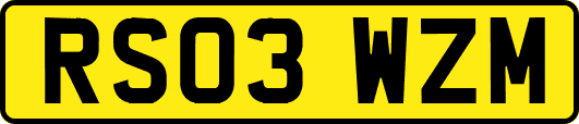 RS03WZM