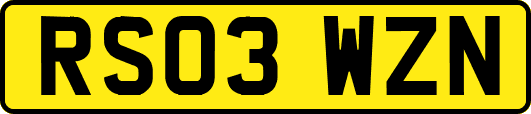 RS03WZN