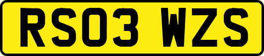 RS03WZS