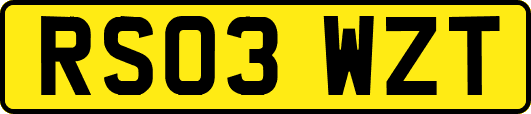 RS03WZT