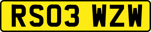 RS03WZW
