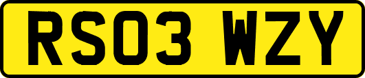RS03WZY