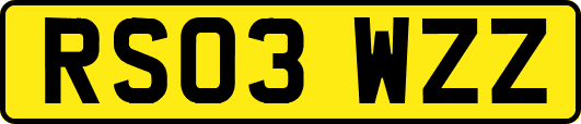 RS03WZZ