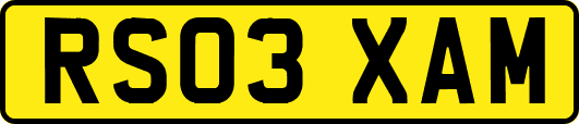 RS03XAM